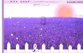 半岛一夜变天？“王牌”正式曝光，朝鲜突然出手，美日韩出乎意料