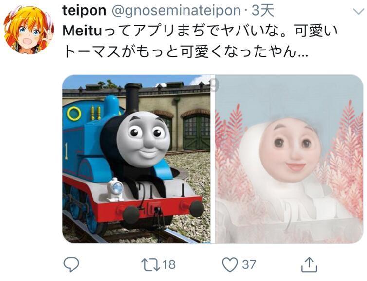 救援非洲金猫